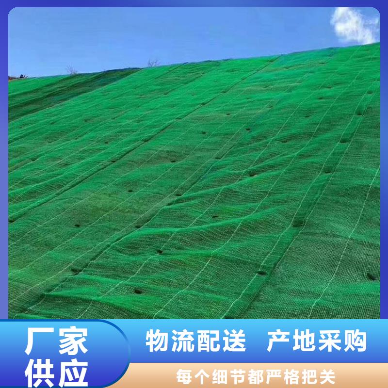 三维植被网单向塑料土工格栅免费回电