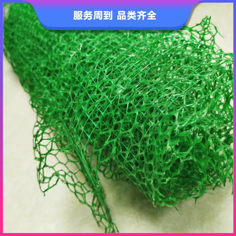 三維土工網墊生產廠家