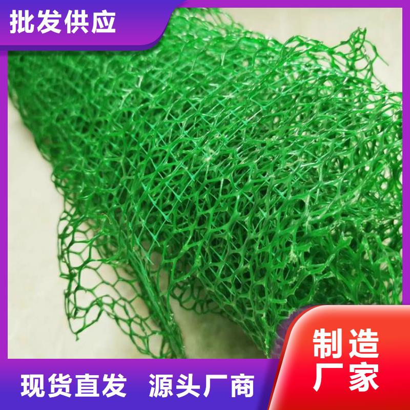 護坡三維網廠家土工網墊價格廠家直銷