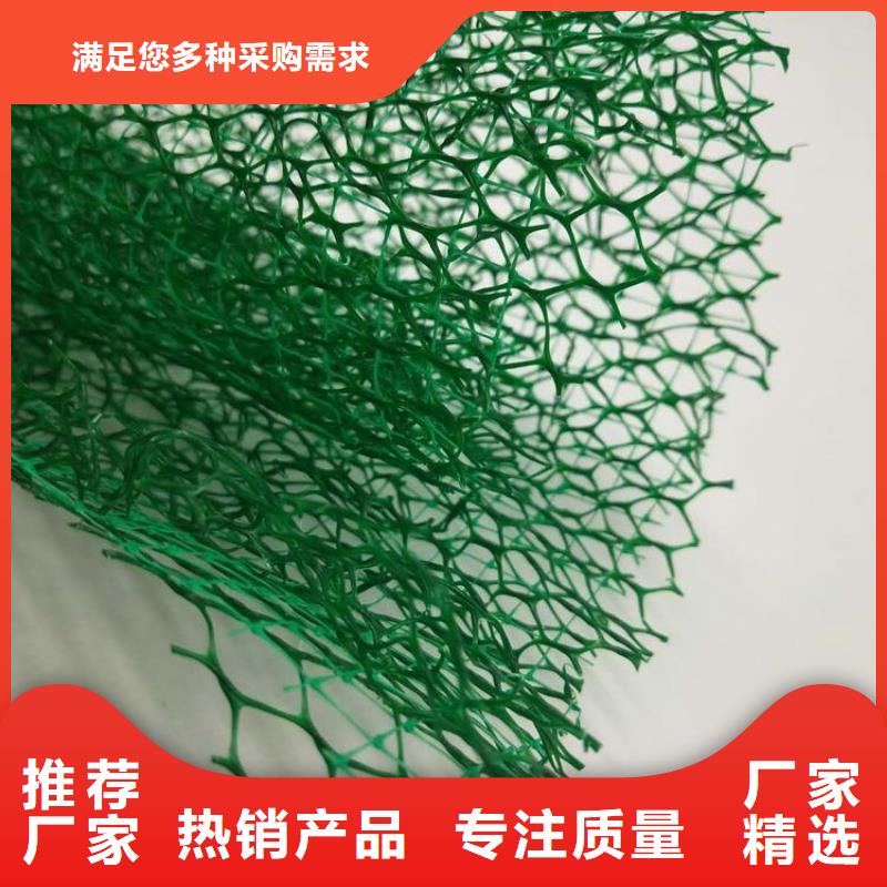 復合三維網廠家三維排水網價格三維土工排水網多少錢