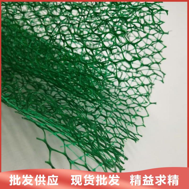 三維植被網(wǎng),護(hù)坡土工網(wǎng)加工定制