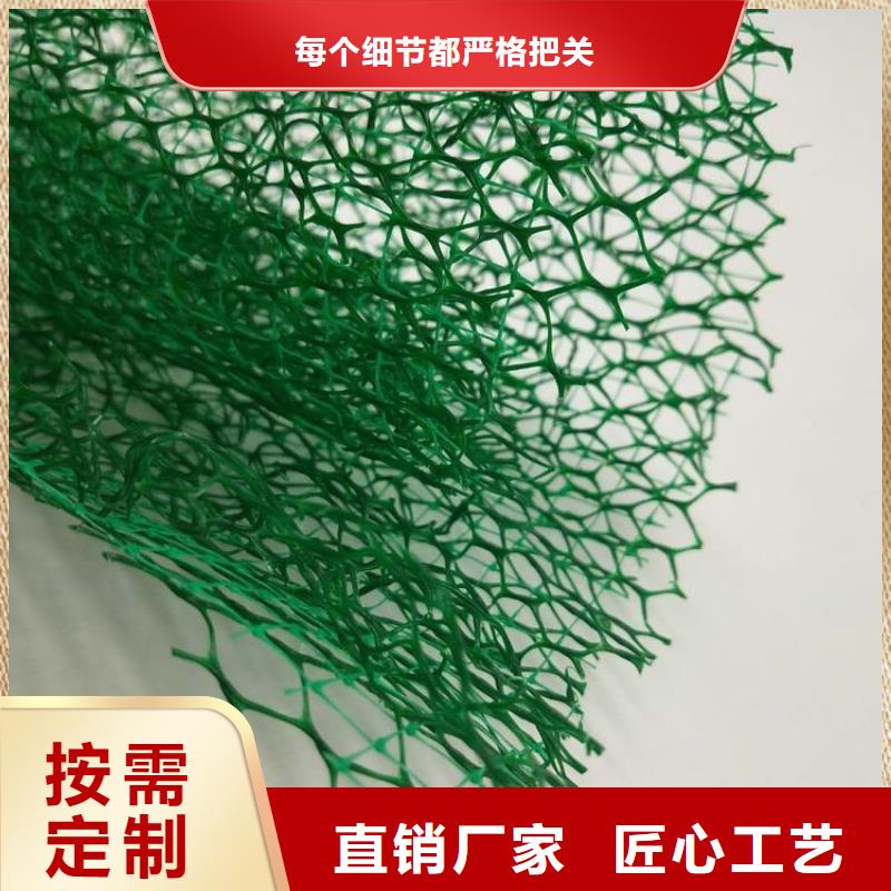 三维植被网三维土工网垫生产型