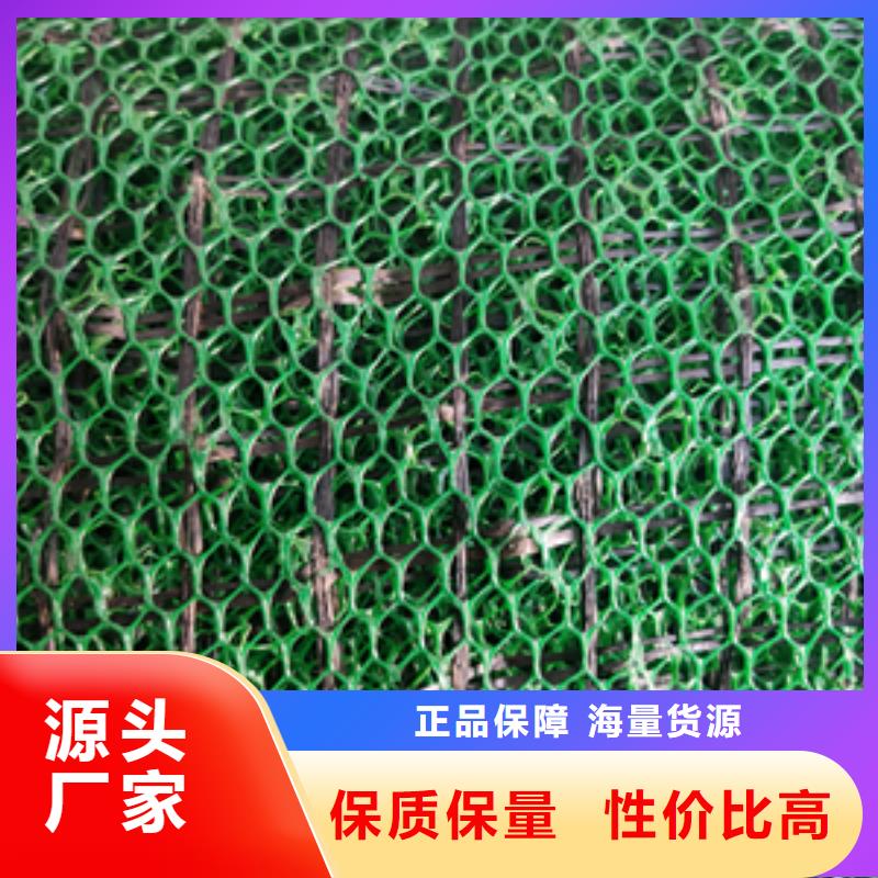 復(fù)合三維網(wǎng)廠家三維排水網(wǎng)價格三維土工排水網(wǎng)多少錢