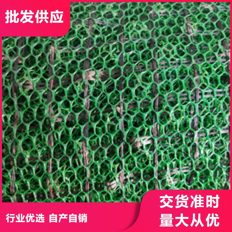 三维植被网三维土工网垫生产型