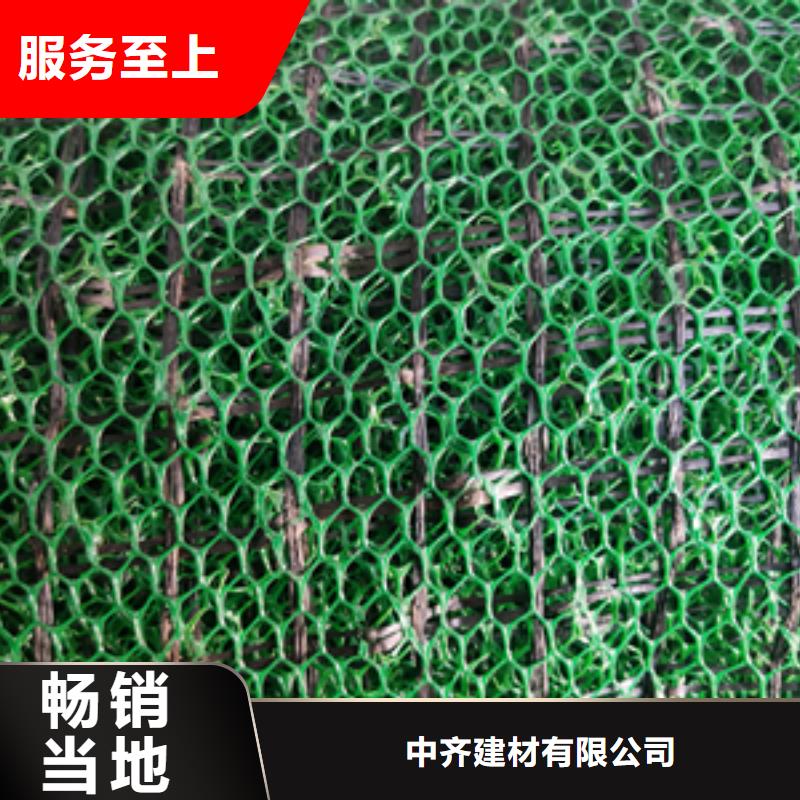 護坡三維網廠家三維網墊價格生產基地
