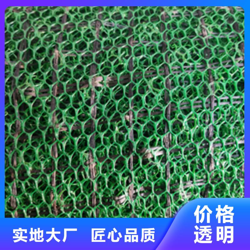 涤纶格栅视频-路北|滦县|廊坊|沧州|张家口|承德|石家庄中齐涤纶格栅_ 中齐建材(唐山市分公司)