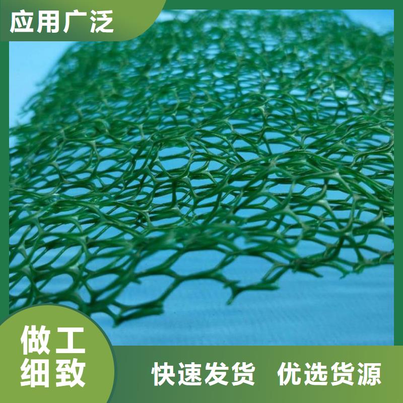 三維植被網三維土工網墊一站式廠家