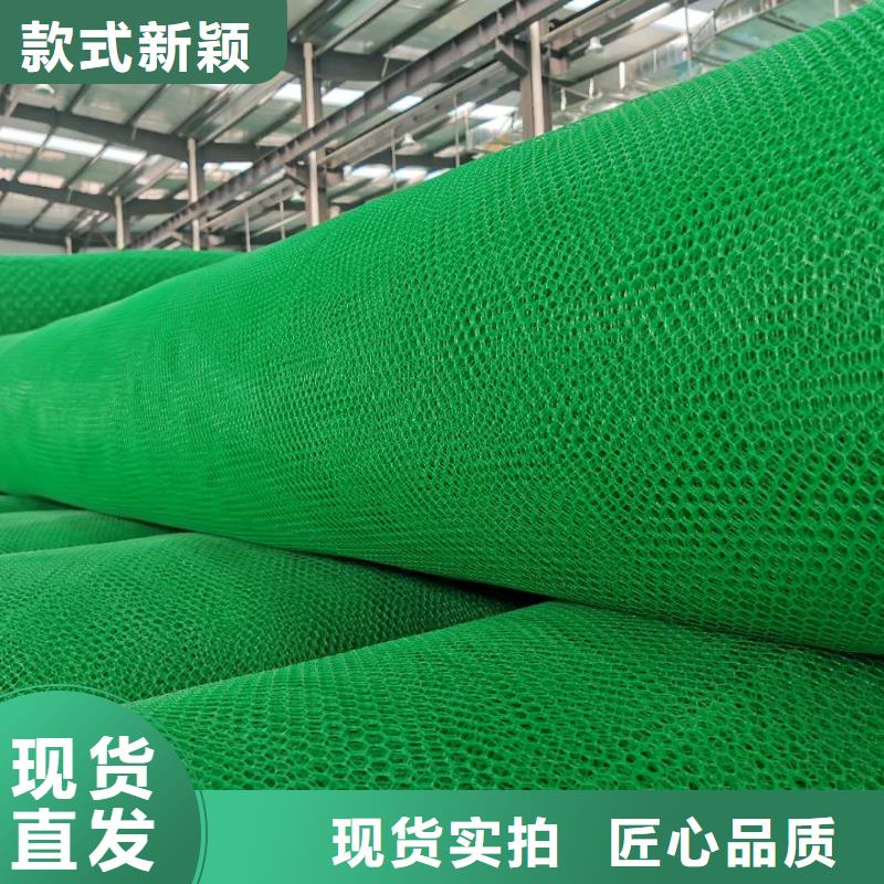 三維植被網(wǎng)【雙向塑料格柵】您身邊的廠家