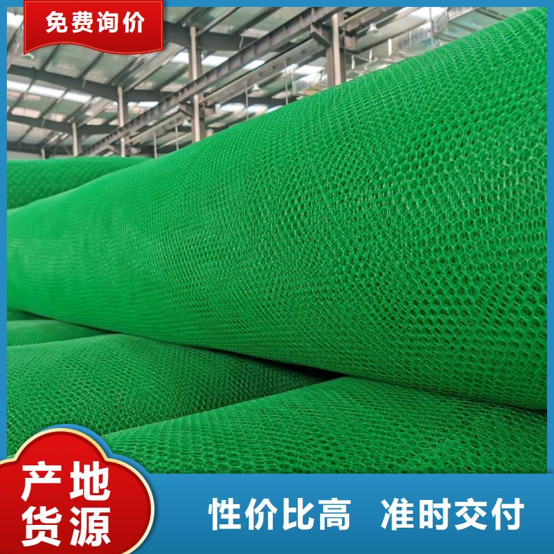 三维植被网三维土工网垫生产型