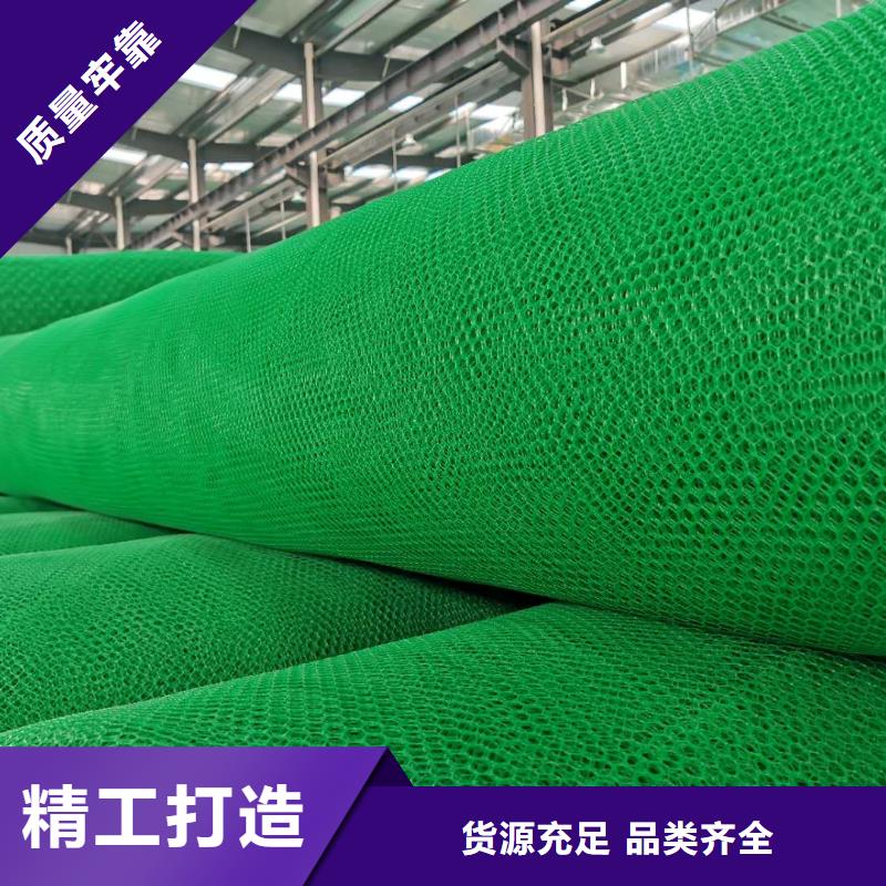 三維植被網廠家土工網墊價格生產基地