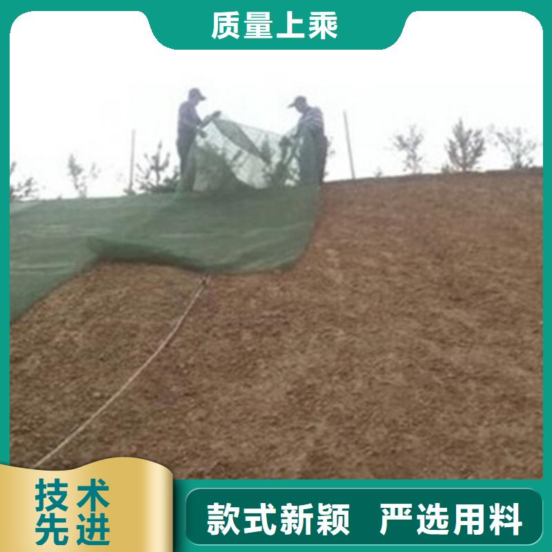 三維植被網(wǎng),護(hù)坡土工網(wǎng)加工定制
