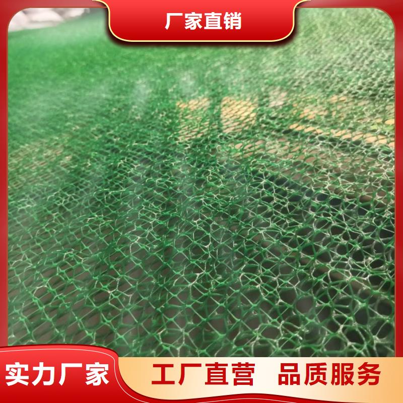 EM3三維植被網價格-EM4三維植被網價格EM3三維植被網價格