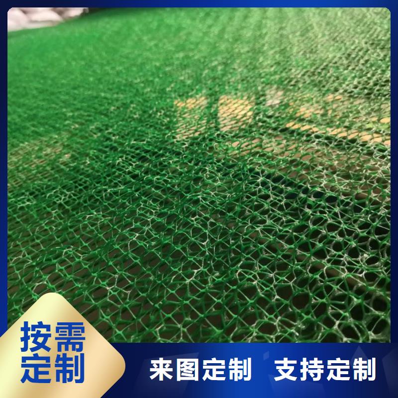 三維植被網土工格室性價比高