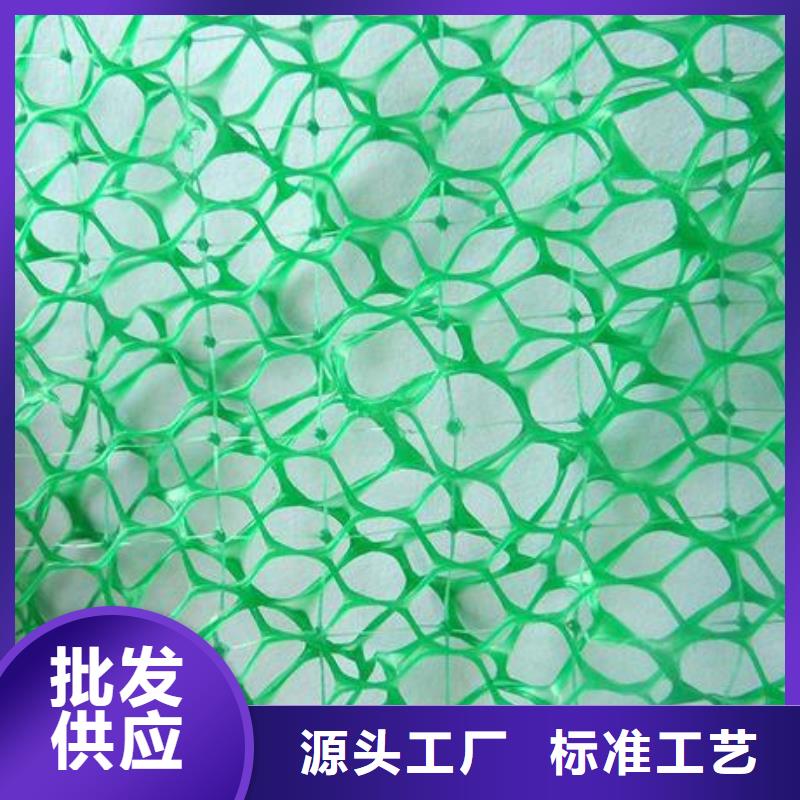 三維植被網源廠供貨