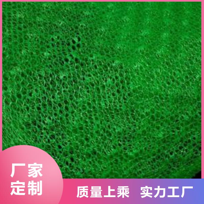 三維植被網廠家土工網墊價格生產基地