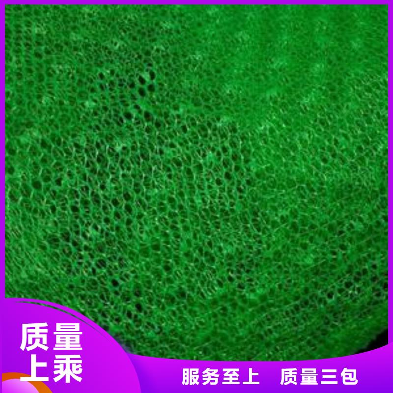 復合三維網廠家三維排水網價格三維土工排水網多少錢