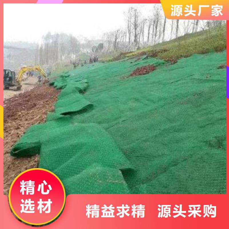 EM3三維植被網價格-EM4三維植被網價格EM3三維植被網價格