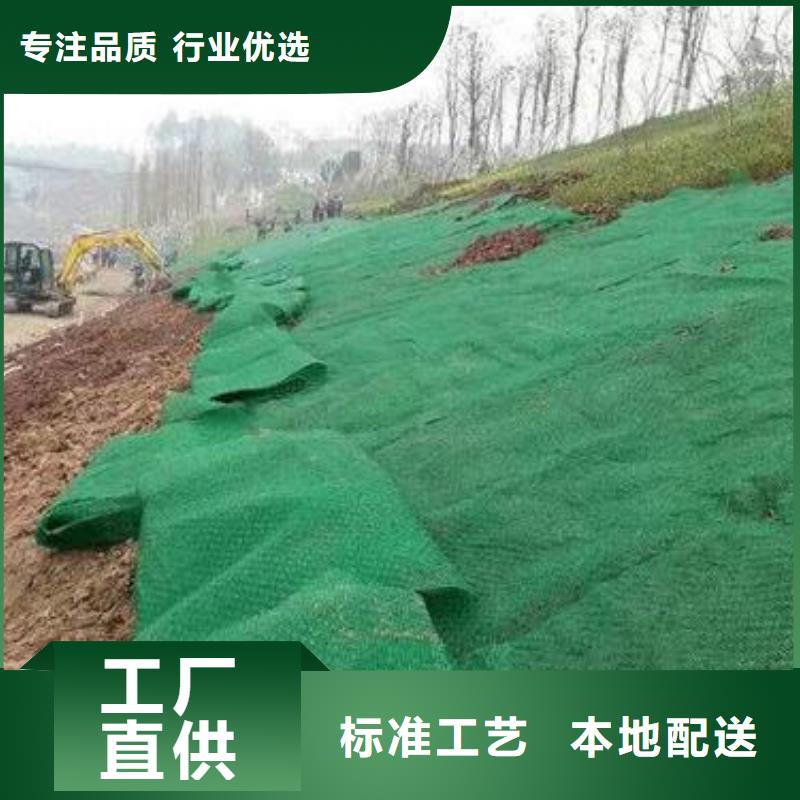 三維植被網三維土工網墊一站式廠家