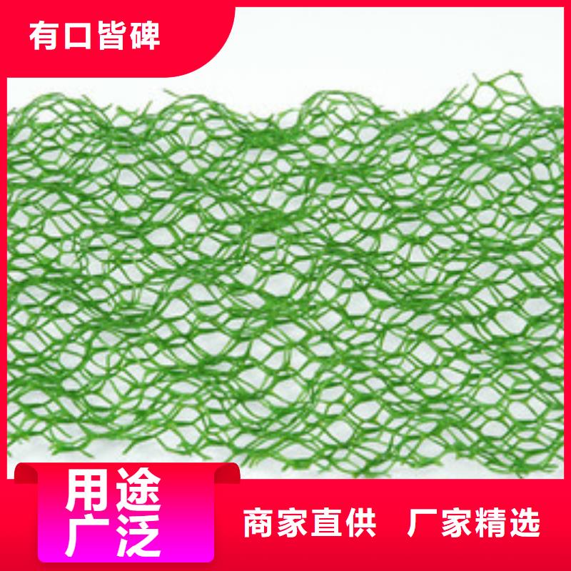 三维植被网,加筋布厂家货源