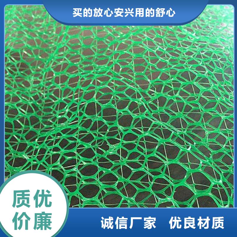 三維植被網-雙向塑料土工格柵工廠采購