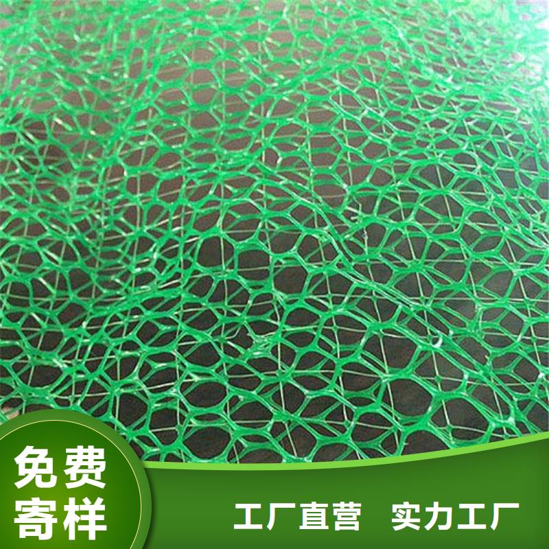 護坡三維網廠家土工網墊價格生產廠家
