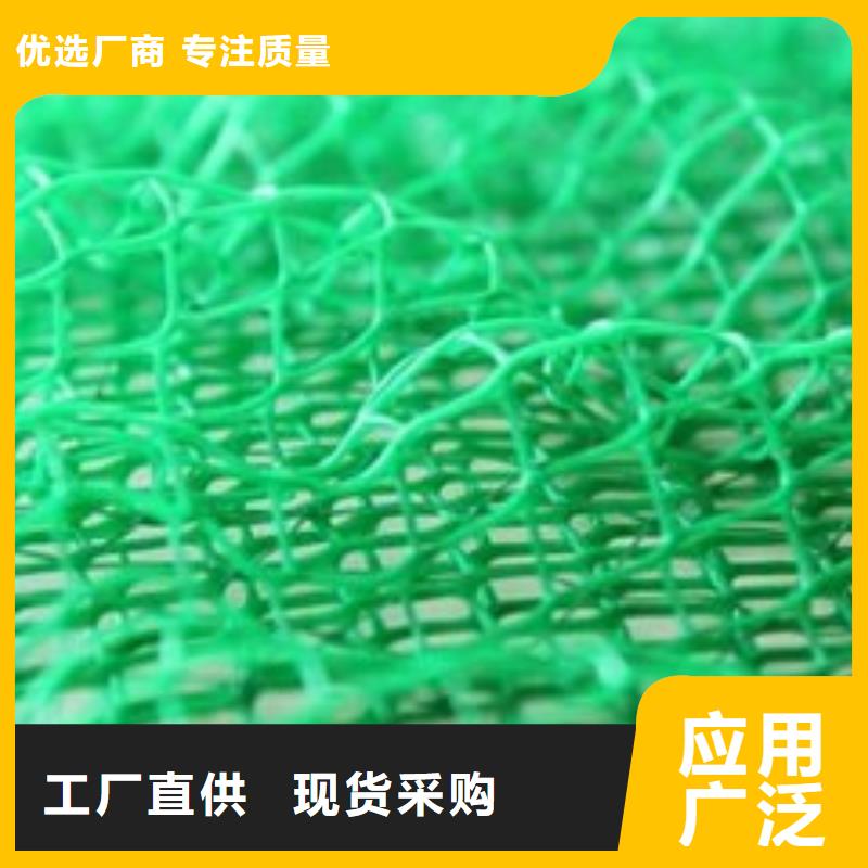三維植被網【凸結點鋼塑土工格柵】源頭廠家經驗豐富