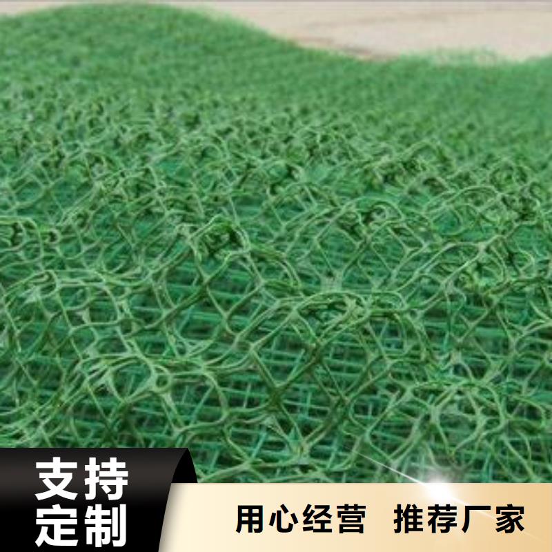 三維土工網墊廠家三維網墊價格廠家直銷