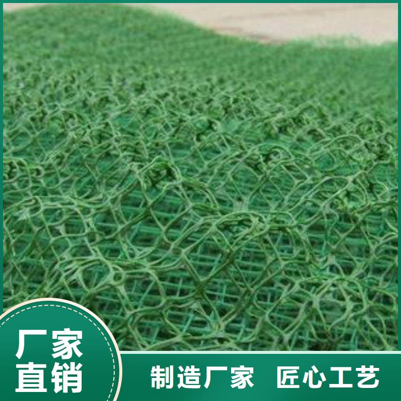 三维植被网防水土工布好产品好服务