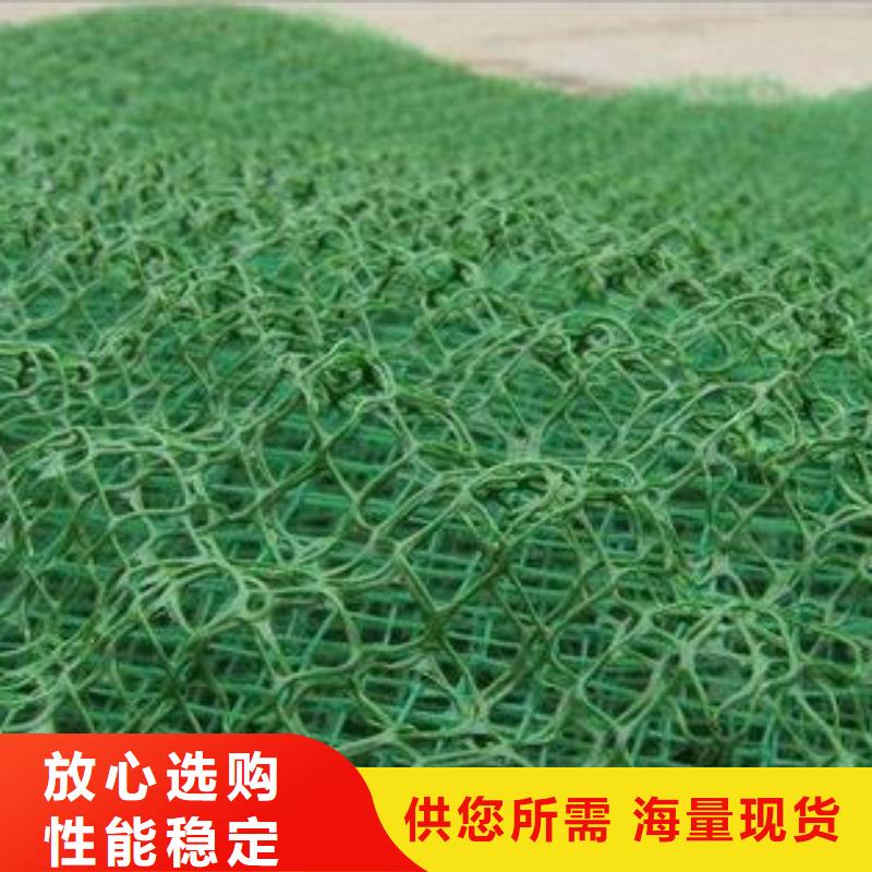 護坡三維網廠家綠化植草網價格生產基地