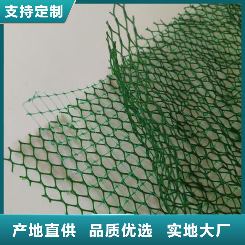 三維植被網(wǎng)廠家綠化植草網(wǎng)價(jià)格廠家直銷