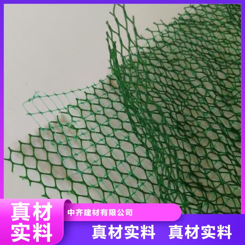三維植被網(wǎng)護(hù)坡土工網(wǎng)老客戶鐘愛