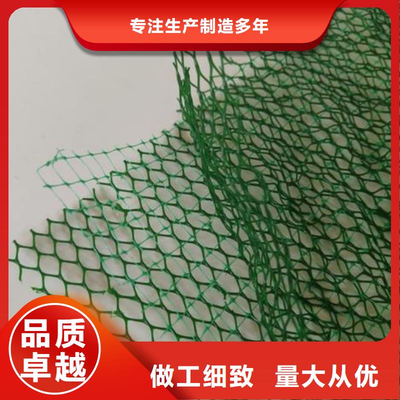 三維排水網廠家復合排水網價格土工排水網多少錢