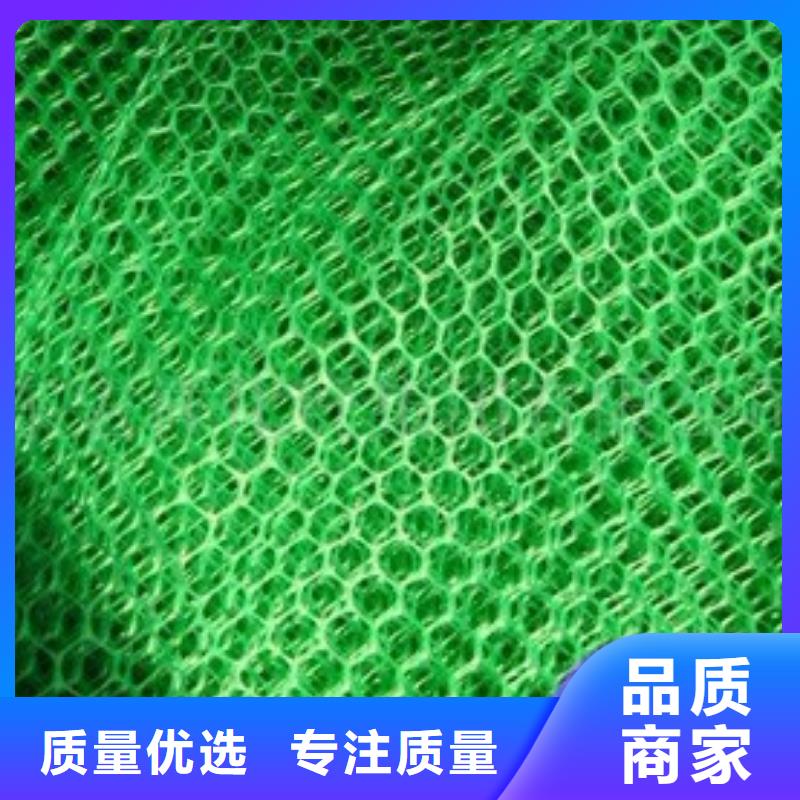 三維植被網,土工HDPE膜現貨銷售