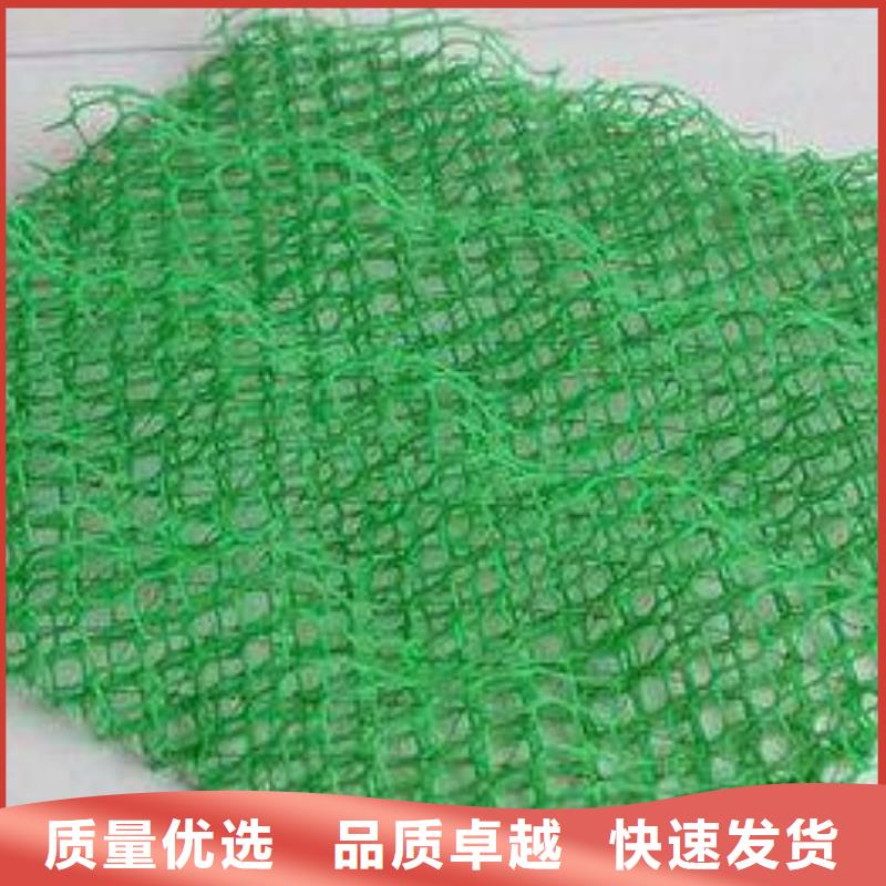 三維植被網,土工HDPE膜現貨銷售