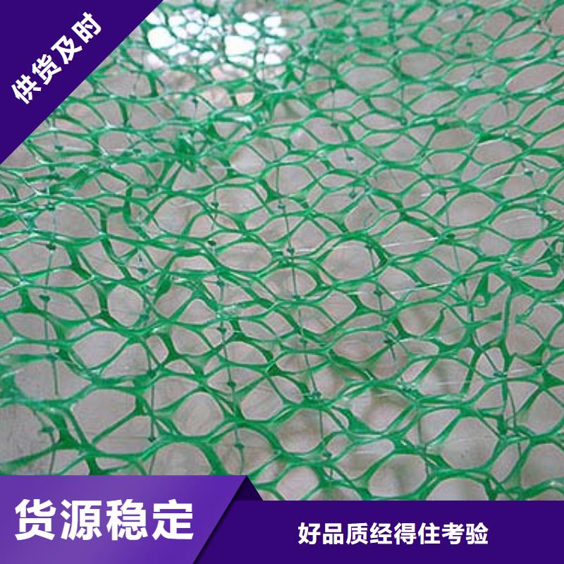 三維植被網(wǎng),護(hù)坡土工網(wǎng)加工定制