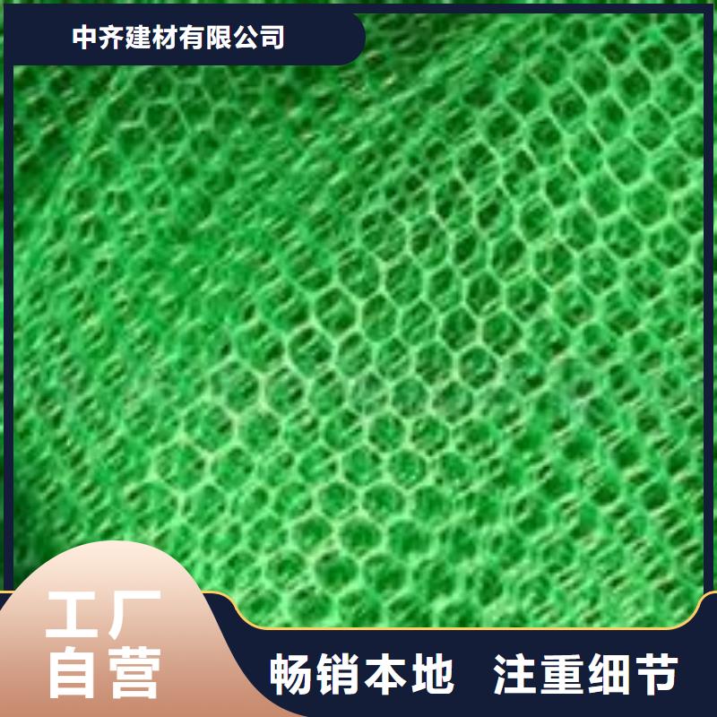 三維植被網(wǎng),護(hù)坡土工網(wǎng)加工定制