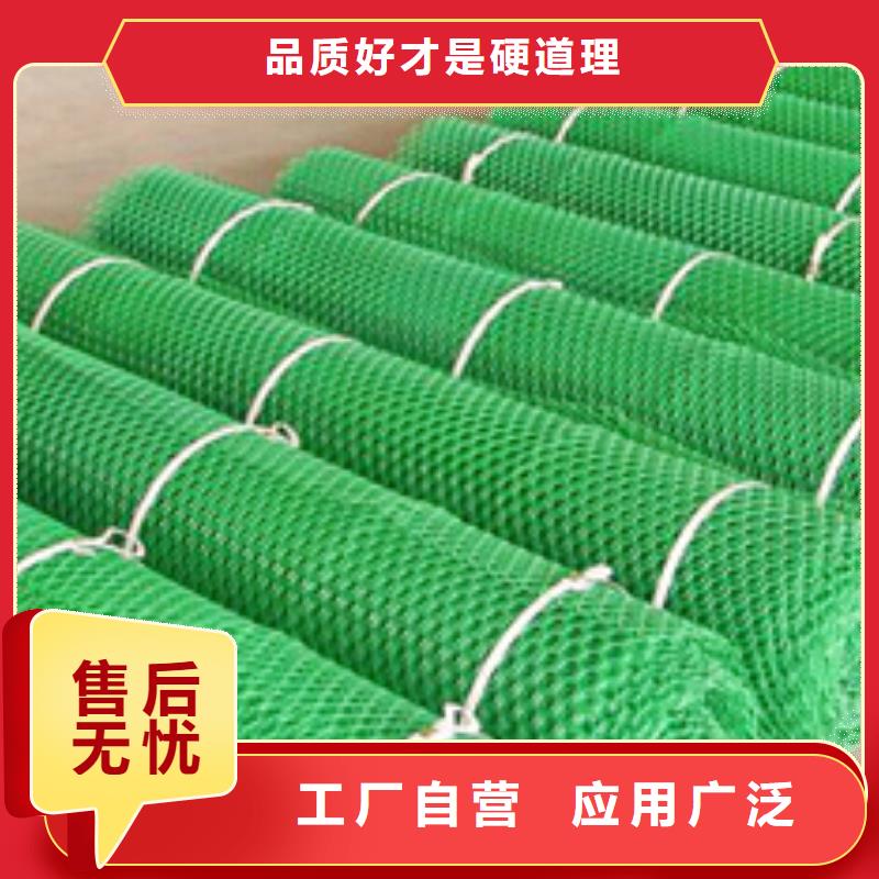 三維植被網廠家三維網墊價格生產廠家