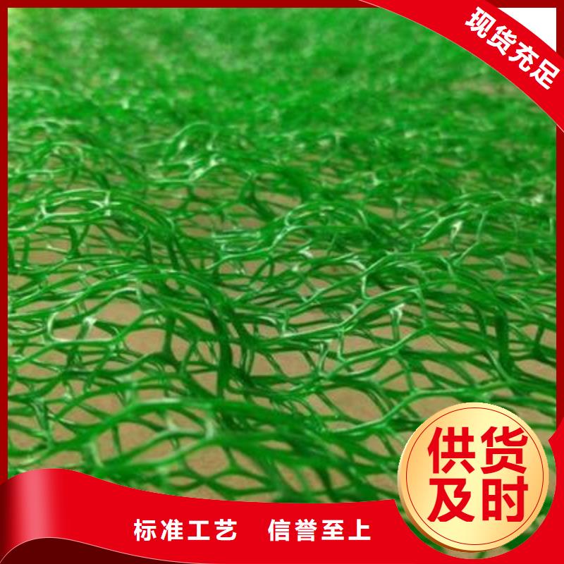 三維植被網(wǎng),護(hù)坡土工網(wǎng)加工定制