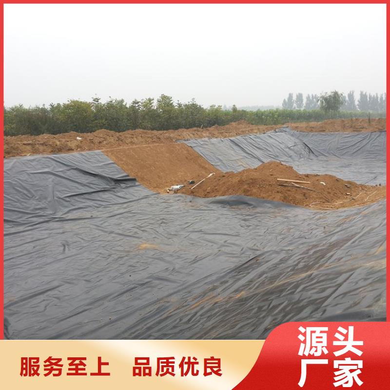 土工膜凸结点钢塑土工格栅欢迎来厂考察