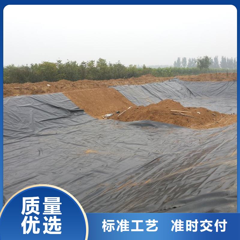 防滲土工膜垃圾場土工膜垃圾防滲膜生產(chǎn)廠家