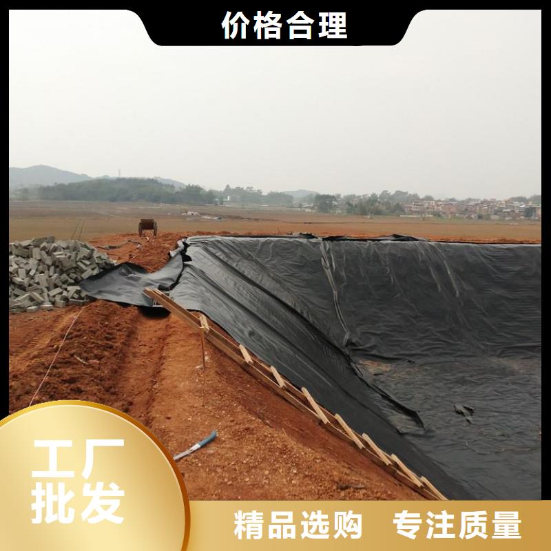 土工膜-單向塑料格柵加工定制