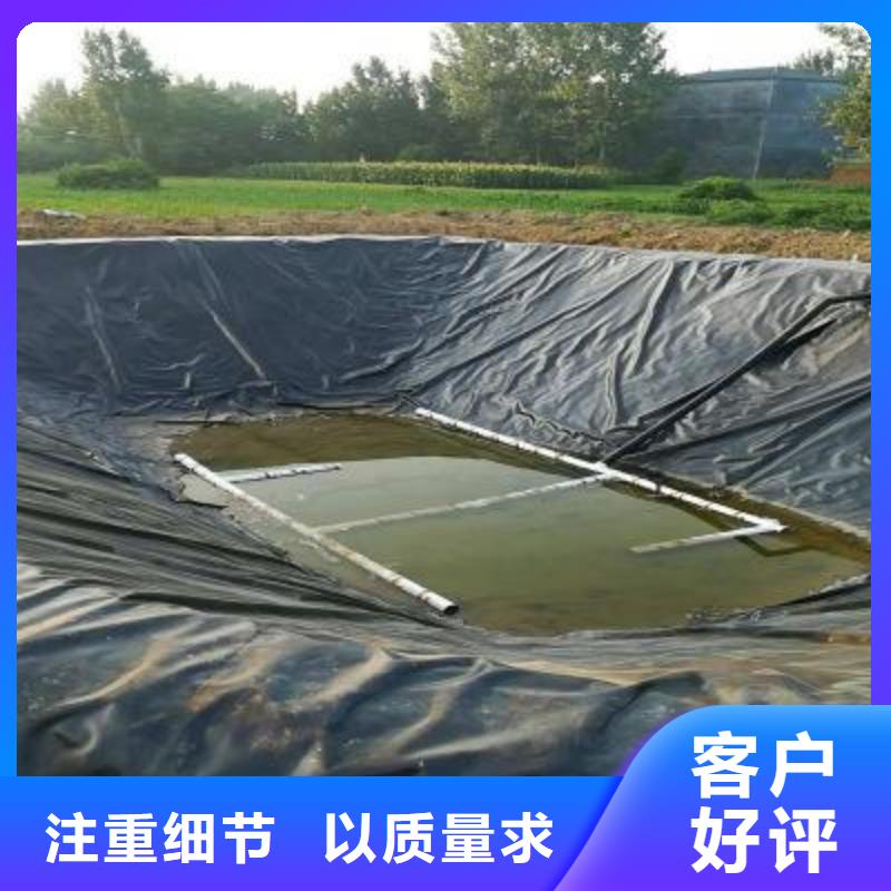 土工膜涤纶格栅货源报价