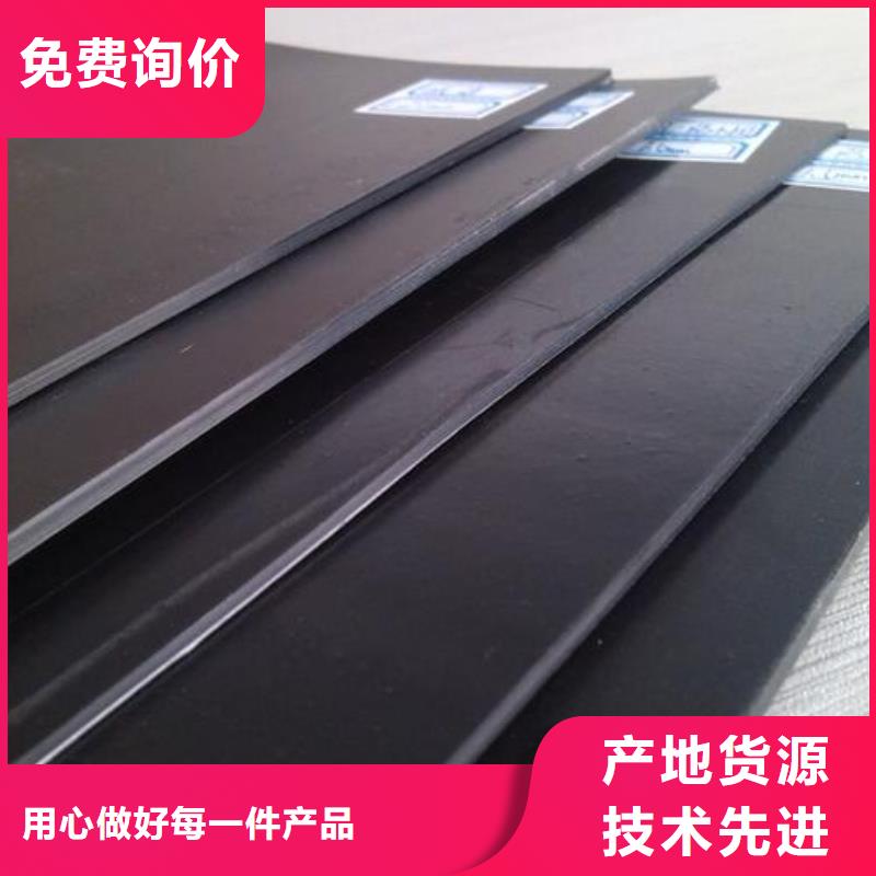 防滲土工膜垃圾場土工膜垃圾防滲膜生產(chǎn)廠家