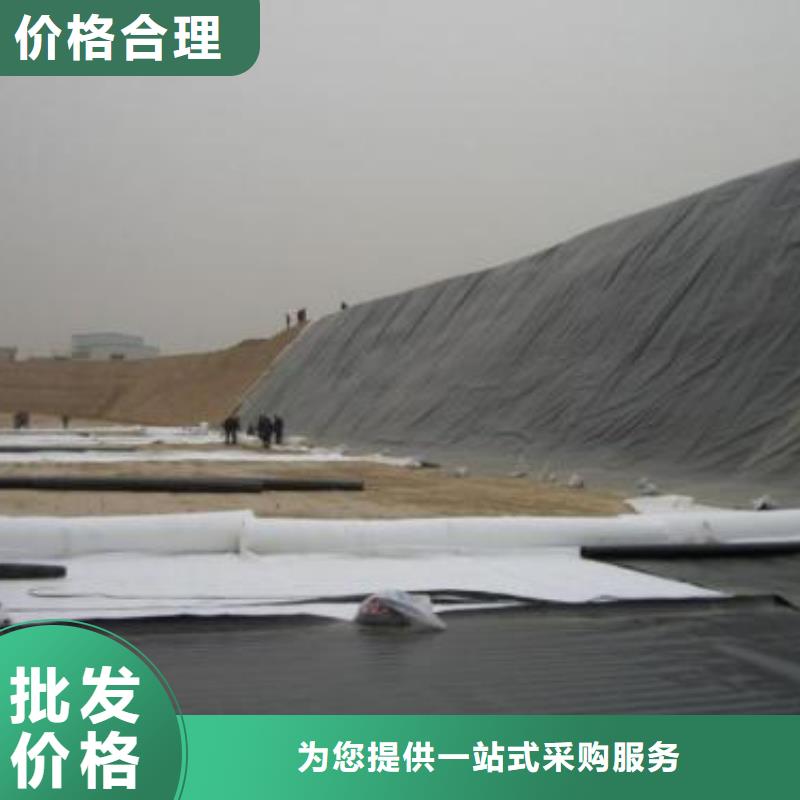 防滲土工膜復(fù)合土工膜廠家直銷