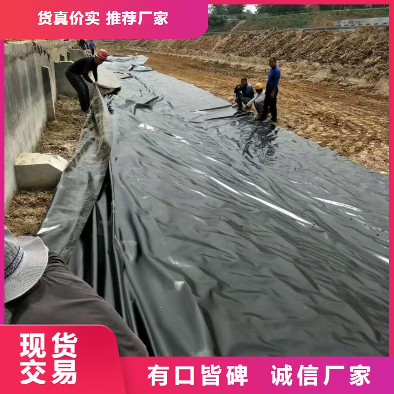 土工膜-單向塑料格柵加工定制