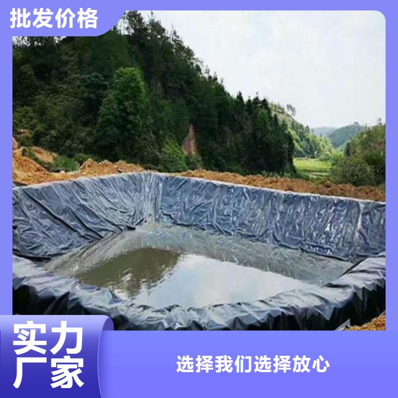 土工膜多少錢一平生產廠家