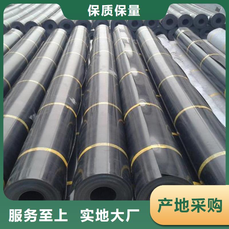 土工膜单向塑料土工格栅老品牌厂家