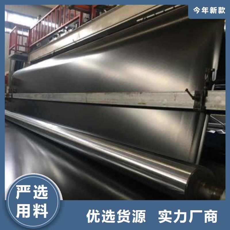 柱點土工膜多少錢一平廠家實業