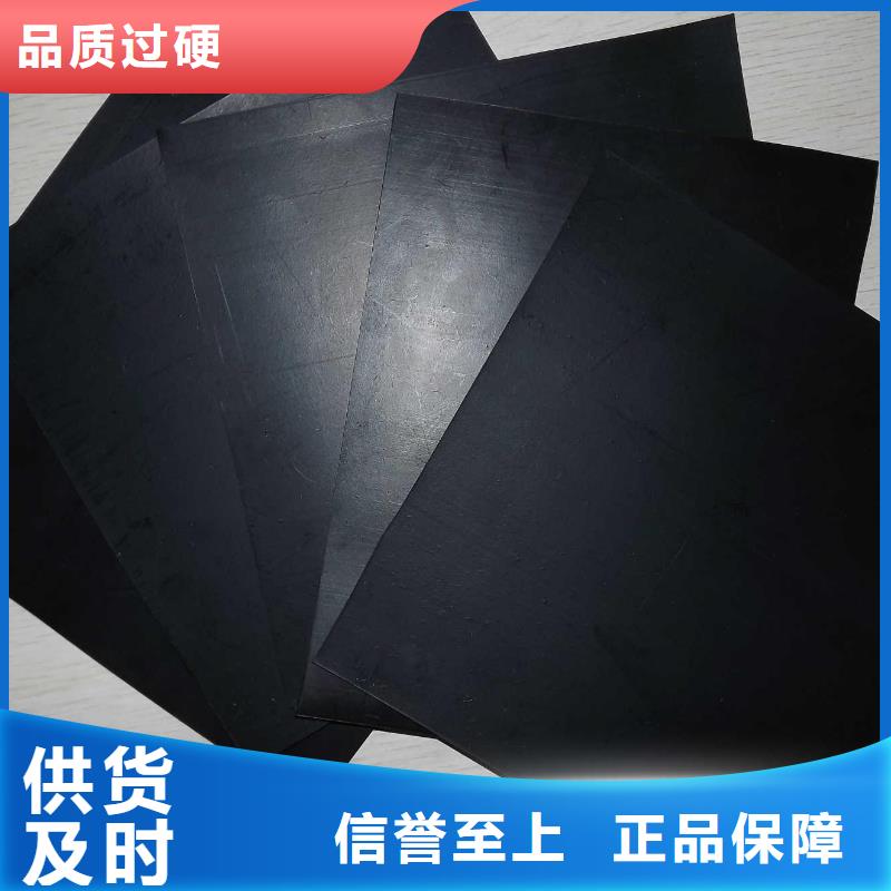 土工膜,【雙向塑料土工格柵】誠信廠家