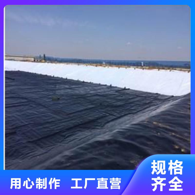 土工膜单向塑料土工格栅老品牌厂家